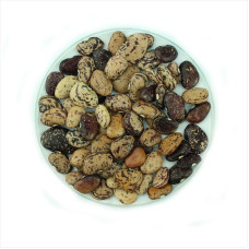 Bean seeds «Peruvian marble»