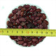 Bean seeds «Lima Red Bush»