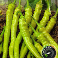 Семена перца острого «Пепперони сигаретта бионда»