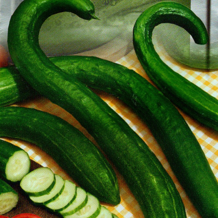 Cucumber seeds «Snake-shaped»