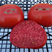 Семена томата «Красное вино»