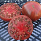 Tomato seeds «Grosse Bordeau» 