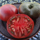 Tomato seeds «Grosse Bordeau» 
