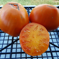 Tomato seeds «Aunt Sophie's» 