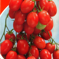 Семена томата «Розовый изюм»