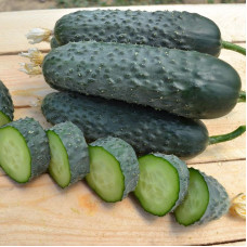 Cucumber seeds «Pikskor» F1