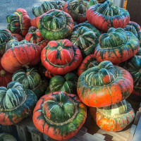 Насіння гарбуза «Турецкий тюрбан»