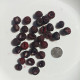Black raspberry seeds «Bristol»