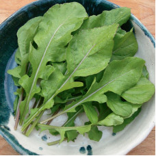 Arugula broadleaf seeds