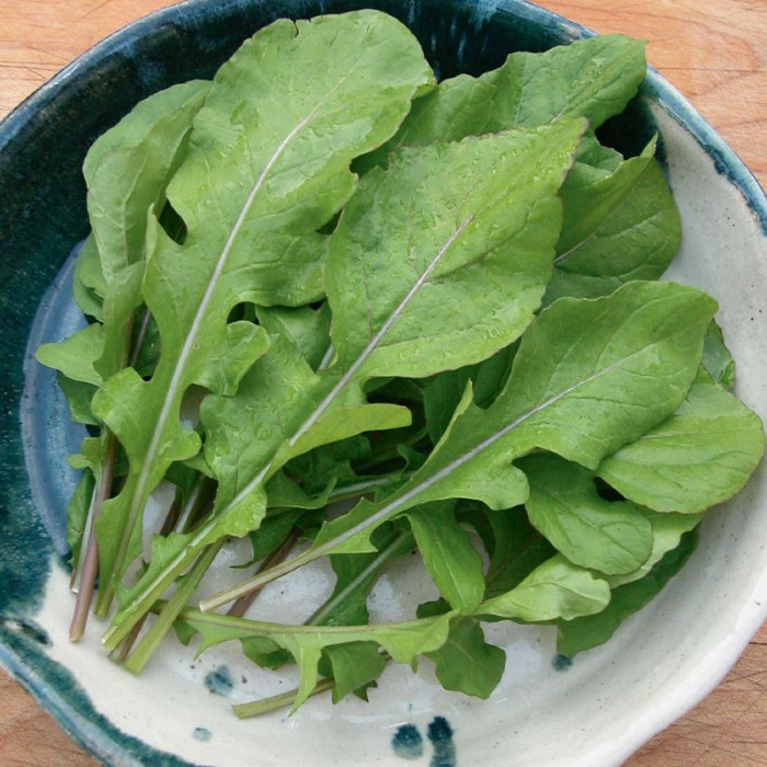 Arugula broadleaf seeds