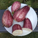 Eggplant seeds «Striped Voyage»