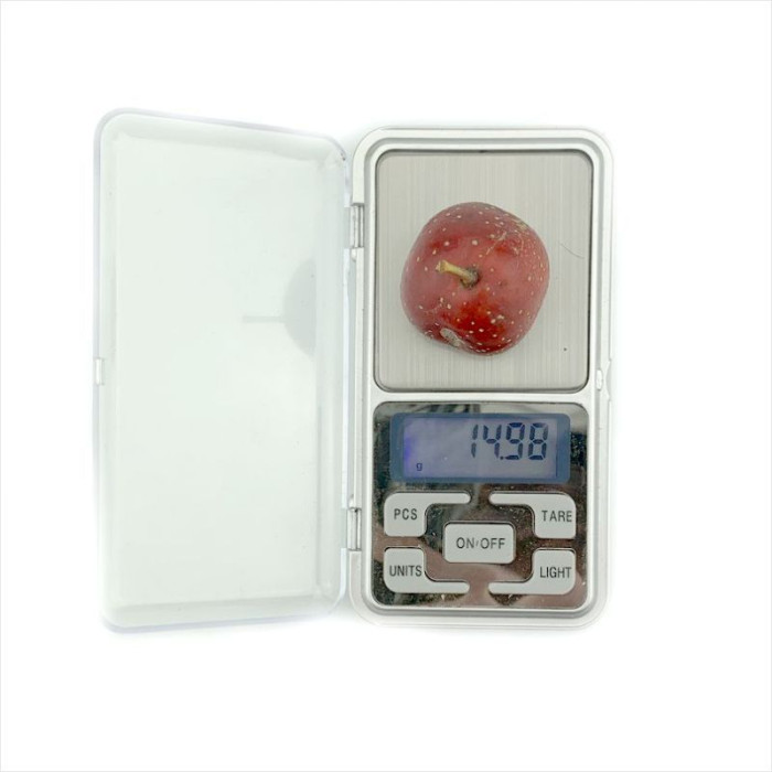 Eastern mayhaw seeds