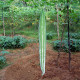 Snake gourd seeds