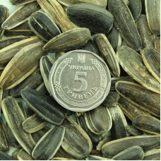 Sunflower seeds «Striped delicacy»