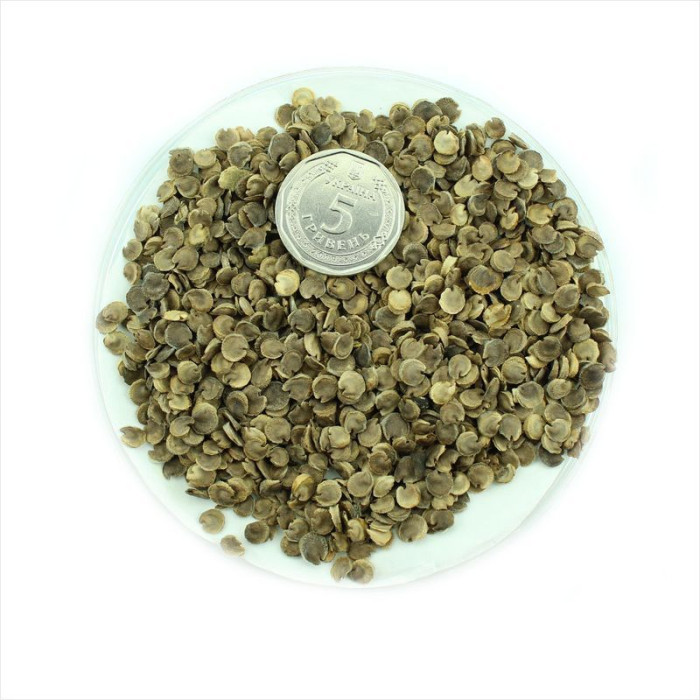 Mallow seeds «Double-flowered white»