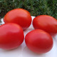 Tomato seeds «Red Stone» 