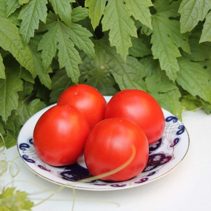 Tomato seeds «Red Stone» 