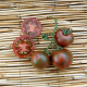 Tomato seeds «Black Vernissage» 