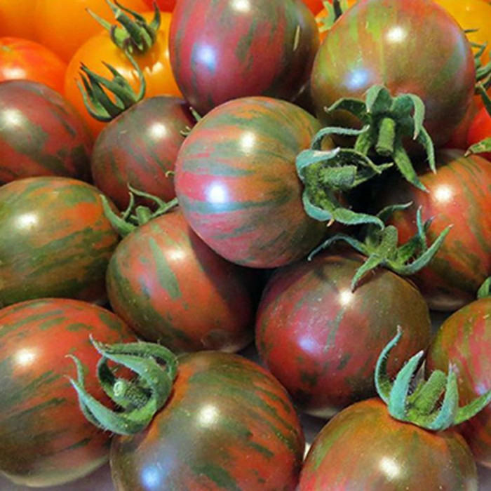 Tomato seeds «Black Vernissage» 