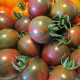 Tomato seeds «Black Vernissage» 