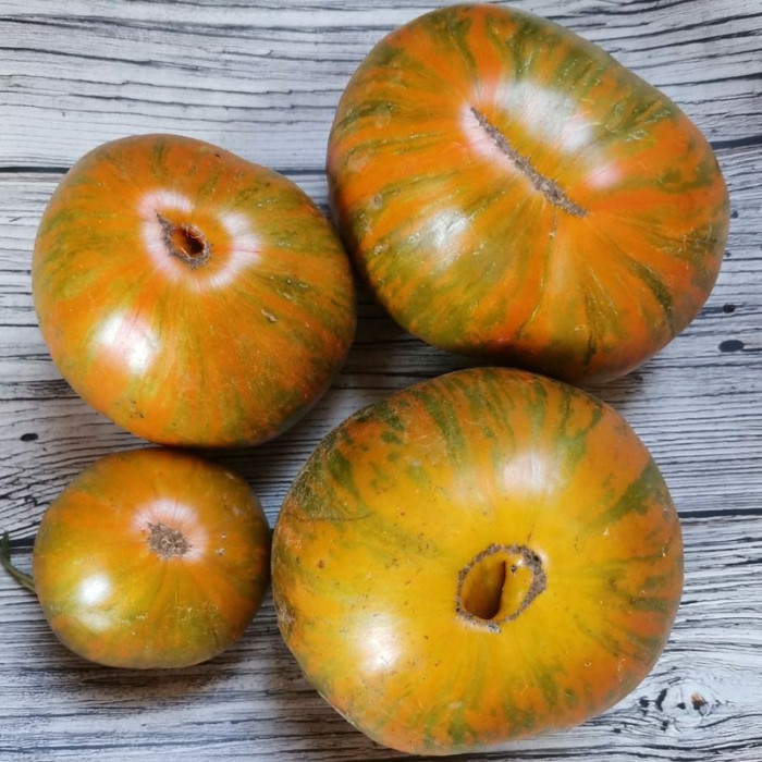 Tomato seeds «Yellow zebra» 