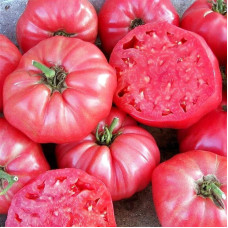 Tomato seeds ««Bucephalus» F1