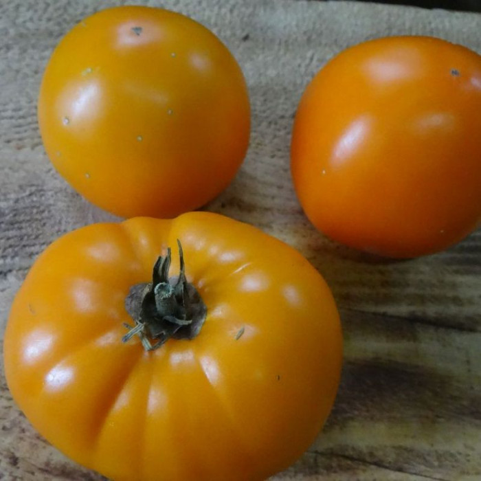 Tomato seeds «Exotic fruit» 