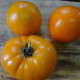 Tomato seeds «Exotic fruit» 