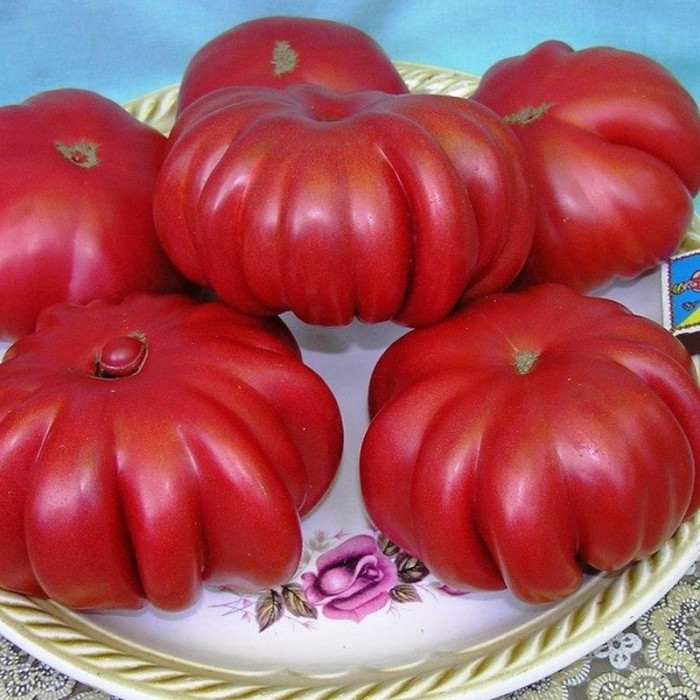Tomato seeds «Mushroom Basket»