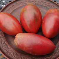 Tomato seeds «Marigolds» 