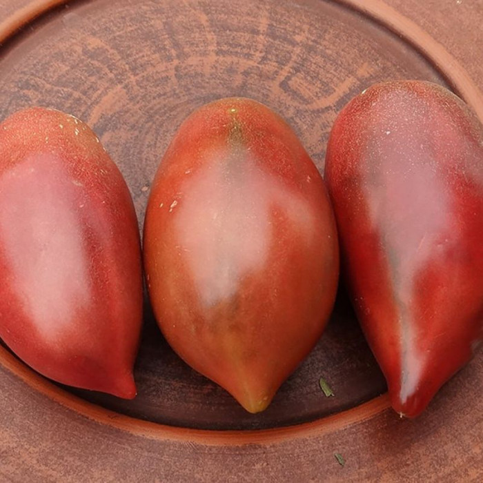 Tomato seeds «Marigolds» 