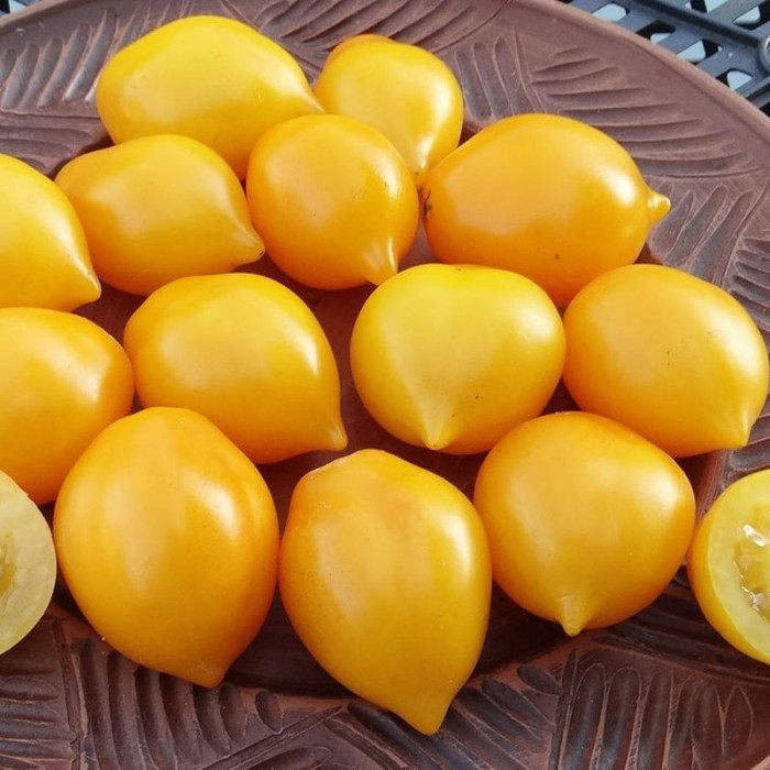 Tomato seeds «Piennolo del Vesuvio yellow» 