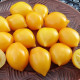 Tomato seeds «Piennolo del Vesuvio yellow» 