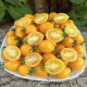 Tomato seeds «Piennolo del Vesuvio yellow» 