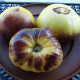Tomato seeds «Sart Roloise» 
