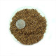 Grey alder seeds