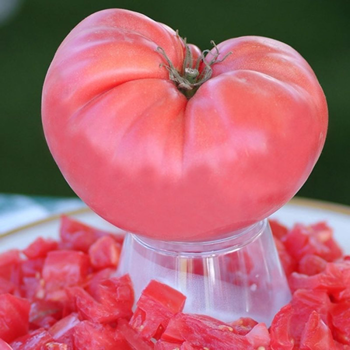 Насіння томату «Рожевий велетень»