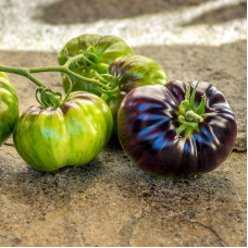 Tomato seeds «Lovely Lush»