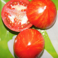Tomato seeds «Bull heart striped» 