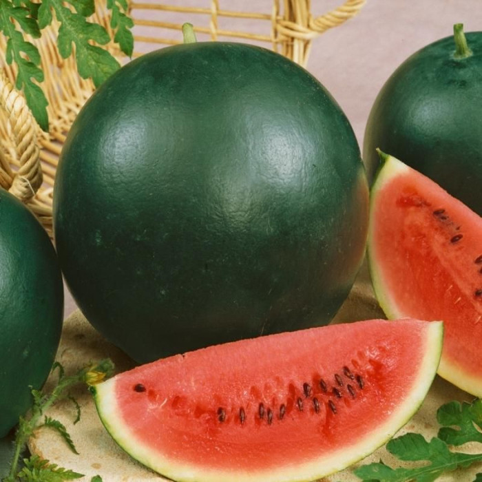 Watermelon seeds «Pretty boy»