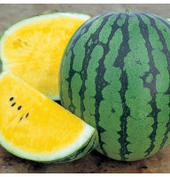Watermelon seeds «Orange King» F1