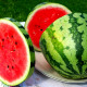 Watermelon seeds «Royal Majestic» 
