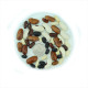 Bean seeds «Mix»