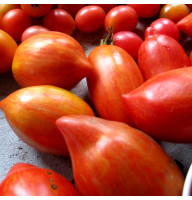 Tomato seeds «Striped plum» 