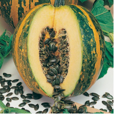 Pumpkin seeds «Holosonasinnyeva»