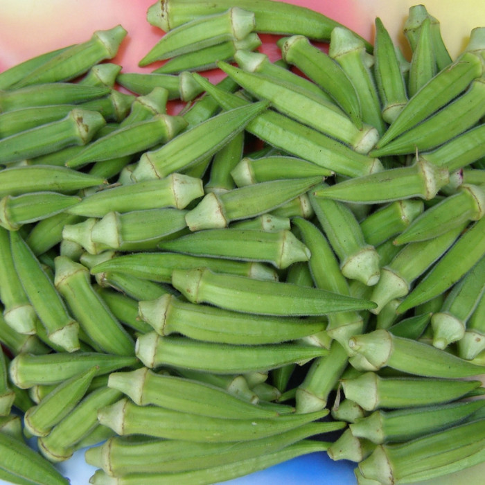 Okra seeds «Panpipeа»