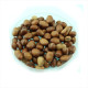 Beans seeds «Greek» / Vicia faba