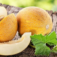 Насіння дині «Спокуса» F1