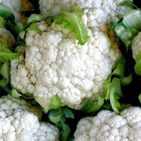 Cauliflower seeds «Palla di Neve»