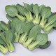 Cabbage seeds pak-choi «Emerald»